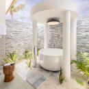 아일랜드코쿤 이미지