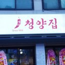 냅다청양집 이미지