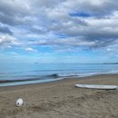 해변여행횟집 | 강릉 금진해변 가족여행 후기 – 금진횟집 신선한 해산물과 강릉 돈가마 고기 맛집