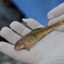 원통중학교 이미지