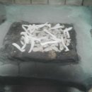 성진농장 이미지