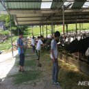 내화농장 이미지