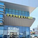 죽변맛집 | 울진 죽변 맛집 망양정해물칼국수 솔직 후기, 해장하기 좋은 곳 추천