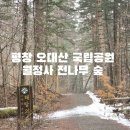 도시숲 산책길 | 평창 오대산 국립공원 월정사 전나무 숲길 둘레길 산책 후기