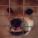 디톡스라이프 이미지