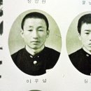 안의중학교 이미지