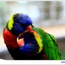 경주버드파크 이미지