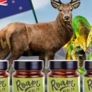 펫트러스트 이미지