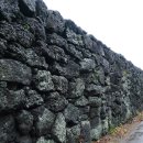 돌담이네 이미지