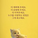 루 Daum카페