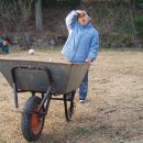 도현농장 이미지