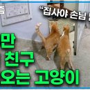 핵인싸네 ㅋㅋㅋㅋ 이미지