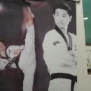 용인대석사청룡태권도 이미지