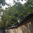 돌담길 이미지