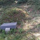 정광호농장 이미지