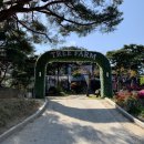 도란에그팜 | [팔공산 카페_트리팜]팔공산 추천 카페/ 팔공산 트리팜 카페/트리팜 디저트 카페