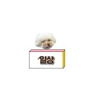동탄 보컬학원 추천 어려운 고음 한방에 해결하는 삼호 보컬 발성 (보컬 레슨 후 영상 포함)