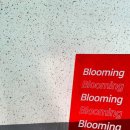 나만의 퍼스널 컬러 이미지