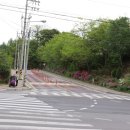 애막골 등산로 입구 이미지