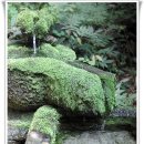 새소리 물소리 이미지