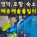 포항 영덕 독채펜션 해송해솔풀빌라 어른4명+아이4명 놀고 온 솔직후기