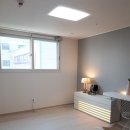 진성투토펠리체 이미지