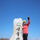 [울주] 신불산(神佛山·1159ｍ) 산행후기---2025년 1월 24일(금) 이미지