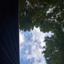 진북편백골관광농원캠핑장 이미지