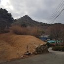 샛골농장 네이버블로그