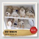 마음을 빚는 어린이 도예 | 초등생 추천체험_내 손으로 빚는 행복_제제 도예체험기