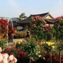 곡성-166 이미지