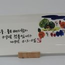 시에그린한국시화박물관 Daum카페