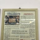 화미가 네이버블로그
