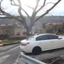 탑골농장 이미지