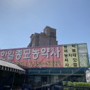 한일농약사 네이버블로그