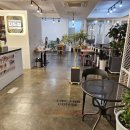 더드림커피 북부정류장점 이미지