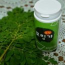 낙안초창녕분교장 이미지