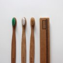 세솟는정형외과병원 이미지