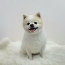 까까모 이미지