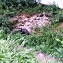 승학산 배드민턴장 이미지