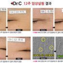 닥터씨 전자신문
