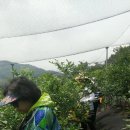 방배2동 이미지
