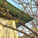 김제연농장 이미지