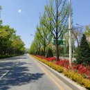 예술회관사거리 이미지