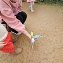 다민농장 | 부천 나눔농장