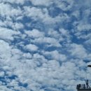 서울원당초등학교 이미지