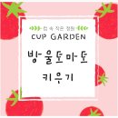 대상기프트 | 기업 판촉물 추천 식목일행사 미니화분키트 │ 관공서홍보물품 모노기프트 후기