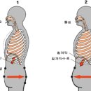 국선도(단전호흡) 이미지