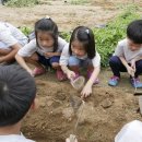 창신태권도체육관 이미지