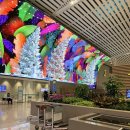 562 | 인천-파리, 로마-파리 아시아나(OZ501, OZ562) 비즈니스 후기(+2터미널 라운지)